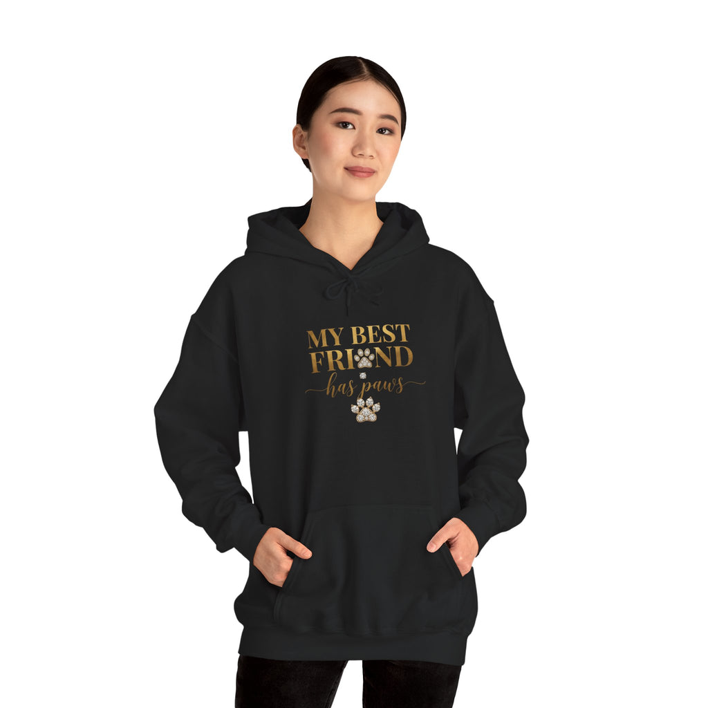 My Best Friend Has Paws Dog Mom Hoodie | Dog Lover Gift