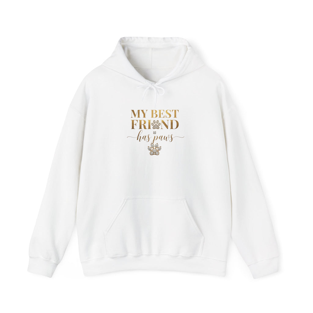 My Best Friend Has Paws Dog Mom Hoodie | Dog Lover Gift