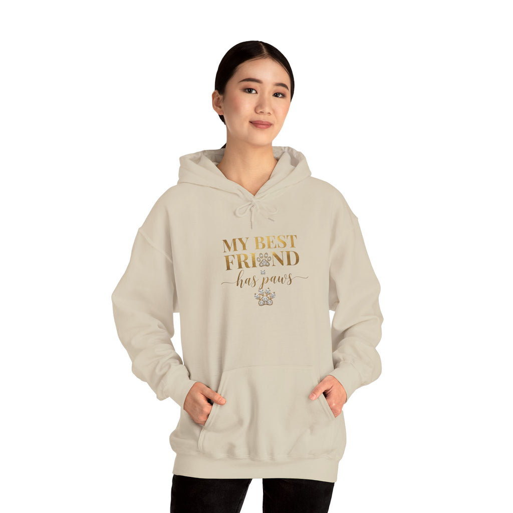 My Best Friend Has Paws Dog Mom Hoodie | Dog Lover Gift