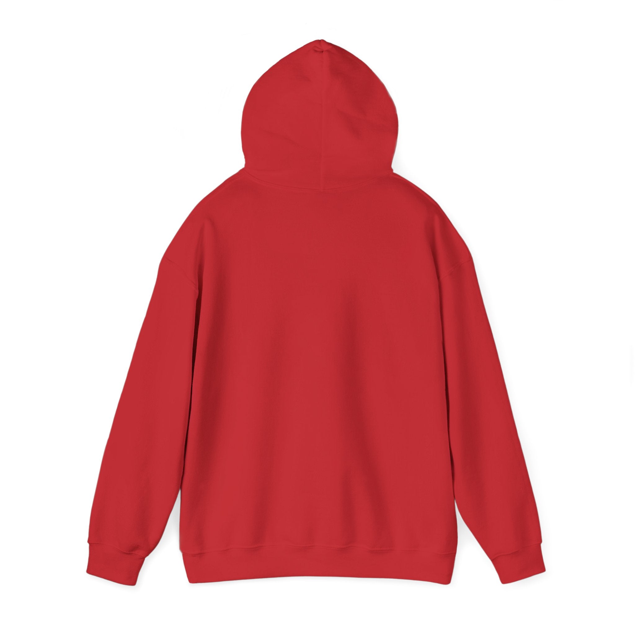 Rainbow Heart Paw LOVE Hoodie — Drop 02