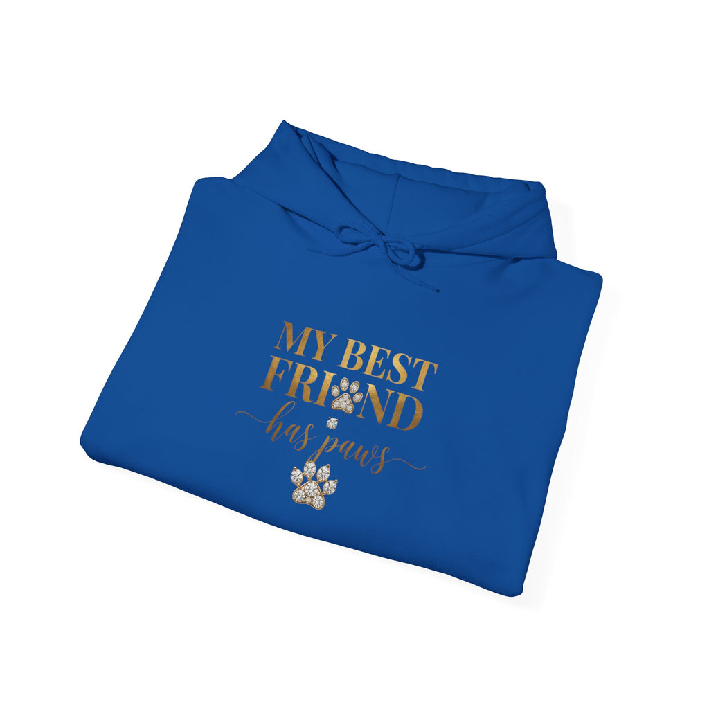 My Best Friend Has Paws Dog Mom Hoodie | Dog Lover Gift