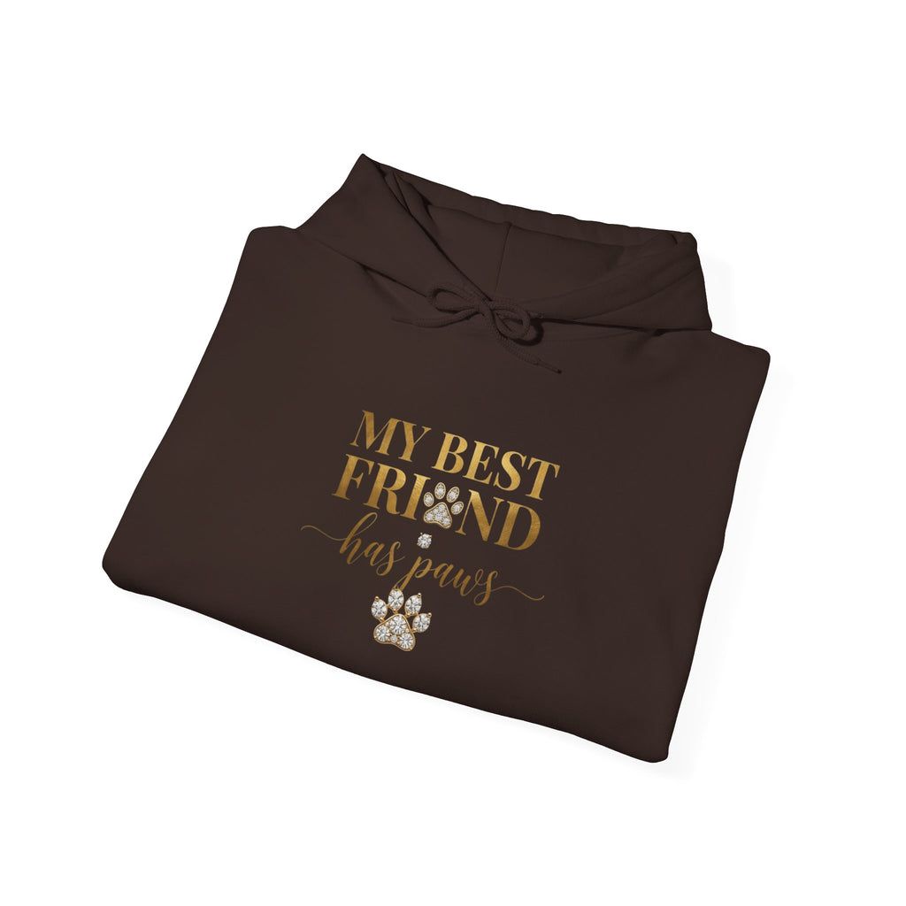 My Best Friend Has Paws Dog Mom Hoodie | Dog Lover Gift