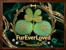 FurEverLoved - Home